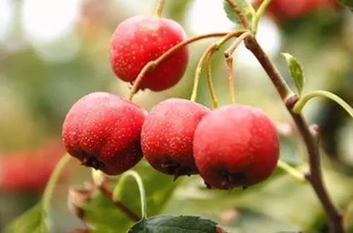 d6541df.jpg d6541df.jpg