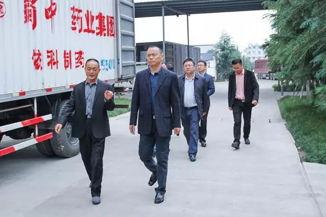 d6ea33c.jpg d6ea33c.jpg