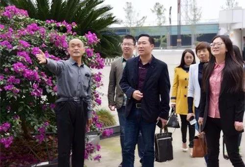 GA黄金甲·(中国区)官方网站